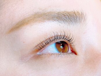 ニコットラッシュ 天王寺店(nicott lash)/まつげパーマ［天王寺・マツパ］