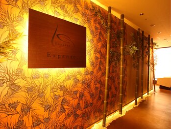 アーユルヴェーダサロン エクスパンス 池袋店(Expanse..)