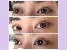 プティ 六本木店(Petit)/パリジェンヌラッシュリフト