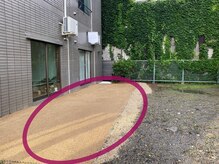ルピナス(Lupinus.)/【駐車場】店舗建物前に有り