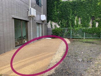 ルピナス(Lupinus.)/【駐車場】店舗建物前に有り