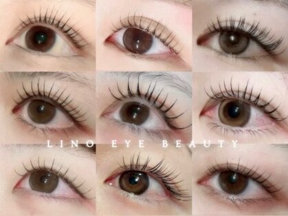 リノ(Lino)の写真