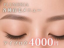 医療提携サロン プルメリア 久留米上津バイパス店(PLUMERIA)の雰囲気(マツエク・まつげパーマだけでなくアイブロウもご用意!)
