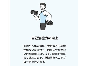 浜松さんそ屋/効果5【自己治癒力の向上】