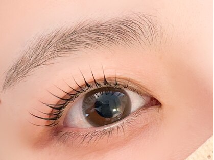 ディクト(D.C.T.)の写真