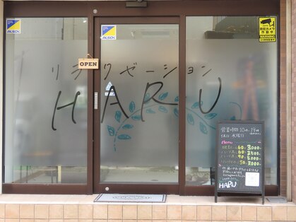 ハル(HARU)の写真
