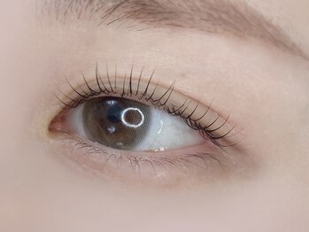 シャッツ(SCHATZ)/まつげパーマ/ラッシュリフト