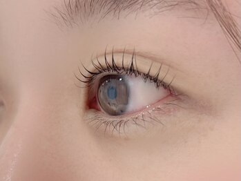 アンシル(ANCIL)/まつ毛パーマ 60分 ¥3780