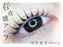 まつげパーマ/アイブロウ/パリジェンヌ専門店Celeb Hill’s (セレブヒルズ)横浜駅前店の雰囲気（地域最安値♪選べるまつ毛パーマデザイン￥2850）