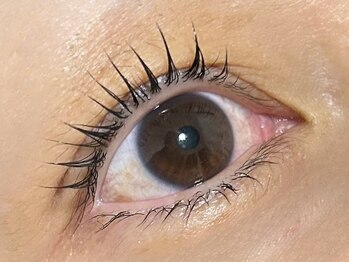 スタジオサンハチゴ(studio-385)/【まつげパーマ】ラッシュリフト