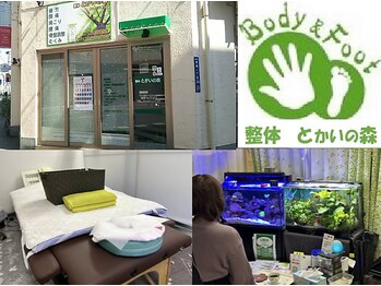 整体 とかいの森