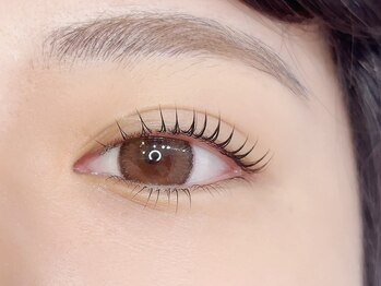 デジール/次世代マツパ