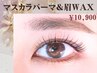 ≪SETで目元印象UP≫ マスカラパーマ+黄金比アイブロウWax ¥11,400→￥10,900