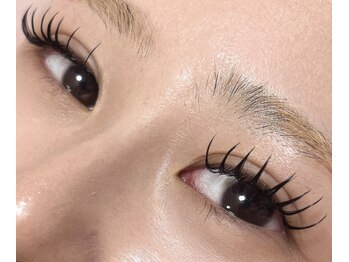 ダリア(Dahlia)/バインドロック１４０束★