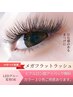 【再来】メガフラットラッシュ90分つけ放題　11000円 110束保証 アイパック付