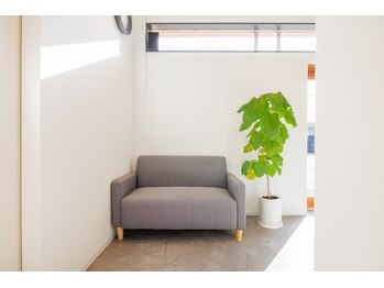 ニカ(nica)/ー店内写真ー