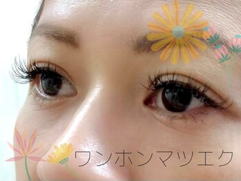 美容室わたなべ/ワンホンマツエク