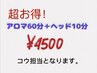 ★超お得！アロマオイル60分＋ヘッド10分　¥4500