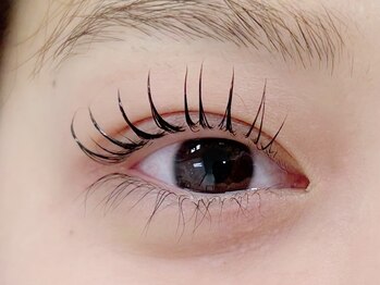 プラスアイ 銀座中央通り店/まつ毛カール 担当:菅