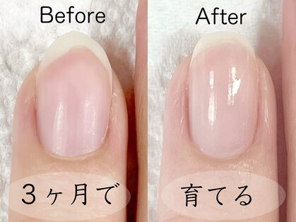 モデラート(moderate)の写真