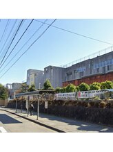 エムズライフ 柏(M's Life)/近隣道路◎松葉中学校前バス停