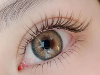 ザ アイブロウ 恵比寿店(THE EYEBROW)の写真/ふんわり可愛い印象へ♪似合うモテまつ毛を叶えます！密度/長さ/カールを調整してちょうどいい可愛さを★