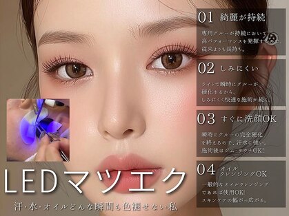 プラチナムドール 桂店(PLATINUMDOLL)の写真