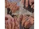 ラーホア(LaHOA)の写真