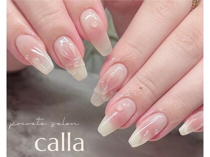 カラー(calla)の写真