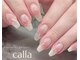 カラー(calla)の写真