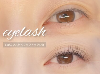 コルザ(colza)の写真