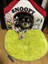 アイラッシュ モンロー 下総中山(eyelash monroe.) さとう