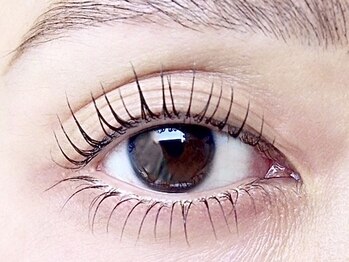 ミニョンアイラッシュデザインサロン くずは店/下まつげパーマ