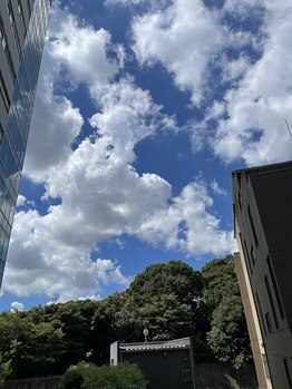 ダイヤモンドビューティー(DIAMOND BEAUTY)/夏も終わりです!