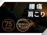 プレミアムプラン【最速で結果を出したい方へ】特殊電気ケア集中整体 75分