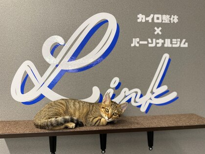 リンク(Link)の写真