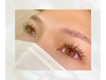 バサラ(BASARA)/フラットラッシュ140本