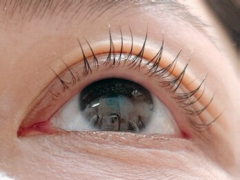 セレンディピティ(Serendipity)/まつ毛パーマ