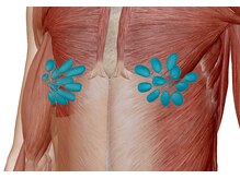 メディカルケア カイロ 南与野/院長は乳がんの専門家です