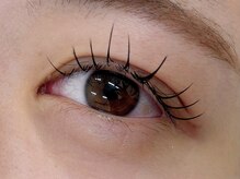 アイサロン パフューム(PURFUME)/フラットラッシュ120