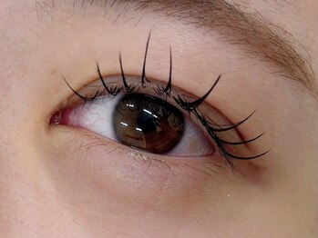 アイサロン パフューム(PURFUME)/フラットラッシュ120