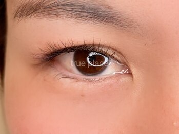 トゥループレイス 高槻(True place)/dark brown