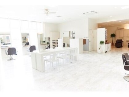 ディクト(D.C.T.)の写真