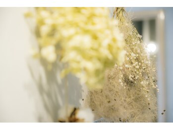 ラブラ バイ スウェラ(Love la by swella)/まつげパーマ