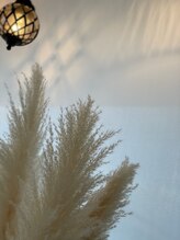 アプリコット(APRICOT)&nbsp;anna 