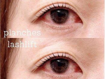 ウィスタリア フィールドプランシュ(WISTARIA FIELD-PLANCHES)/いいとこどりパーマ