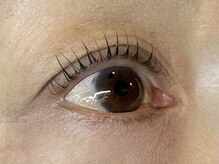 アポロランド ルーナ/ラッシュリフト