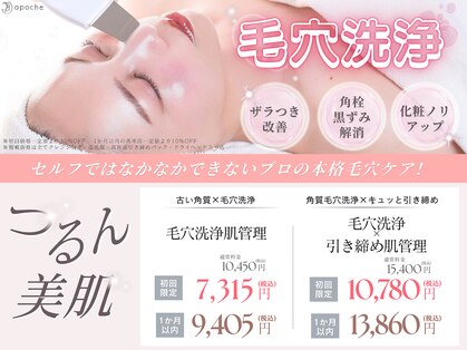 アポシェ(apoche)の写真