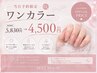 【当日予約限定】ワンカラー/グラデ￥4,500