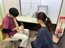 げんき堂接骨院 げんき堂整体院 伊勢崎境町の雰囲気（女性スタッフも在籍してます[整体/ヘッドスパ/マタニティ/産後]）